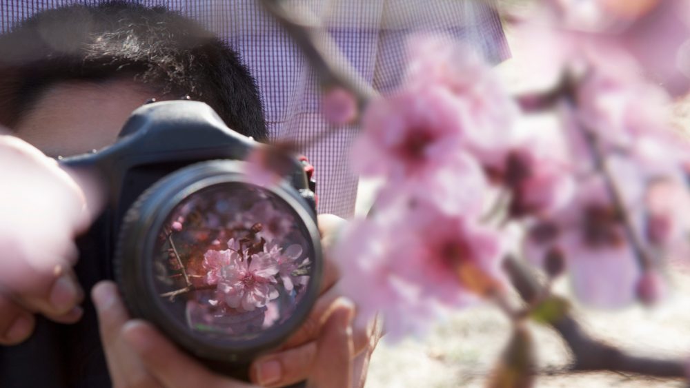 Documentary film production company Denver Colorado